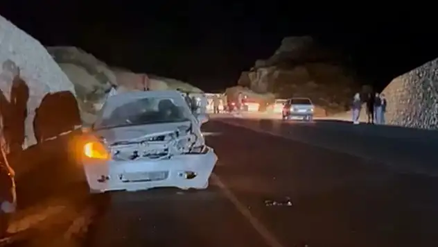 Otomobil domuza çarptı: Emniyet kemeri hayat kurtardı!