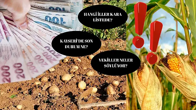 Patates ve mısırda kara liste! 11 ilde destek kesildi…