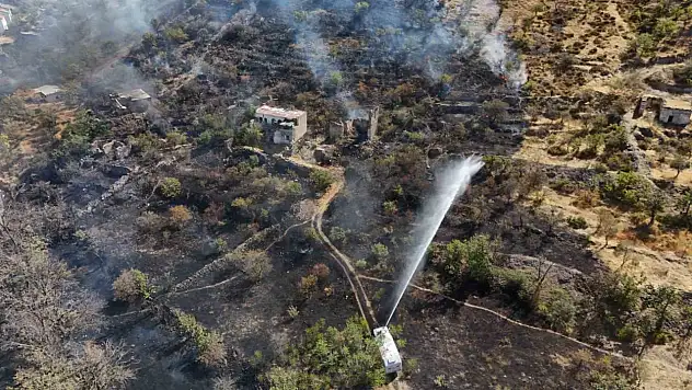 Talas'ta patlıcan közlerken ormanı yaktı