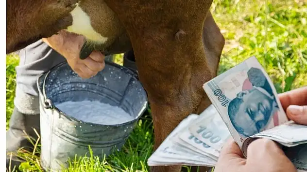 Pınarbaşı'nda üreticiye destek yağdı: Kredi kapısı açıldı!