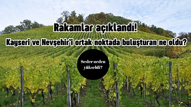 Rakamlar açıklandı! Kayseri ve Nevşehir'i ortak noktada buluşturan ne oldu?