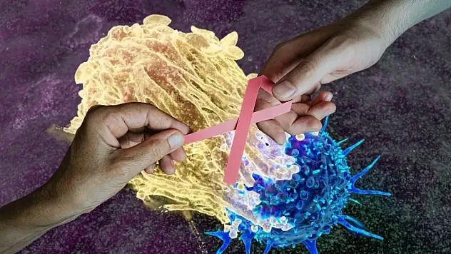 Sağlık Bakanlığı uyardı: UV ışınları cilt kanserini tetikliyor