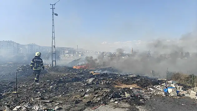 Şahin'den orman yangıları ile ilgili açıklama