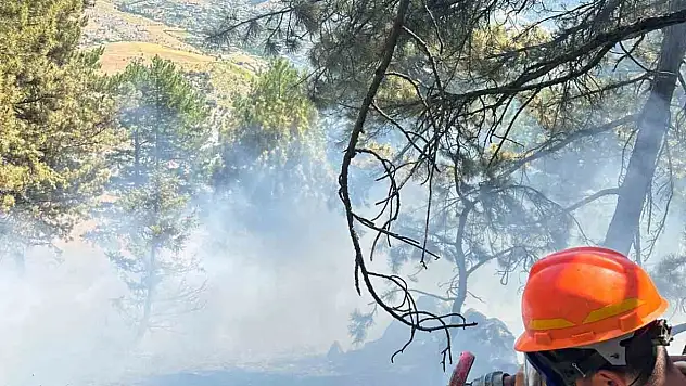 Saimbeyli'de çıkan yangın kontrol altına alındı!