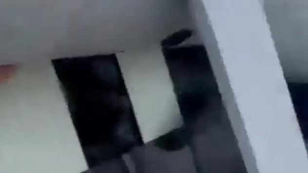 Adana'da son anda kurtardılar!