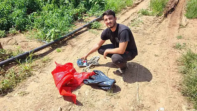 Tarladan 1 ton salçalık biber çalındı