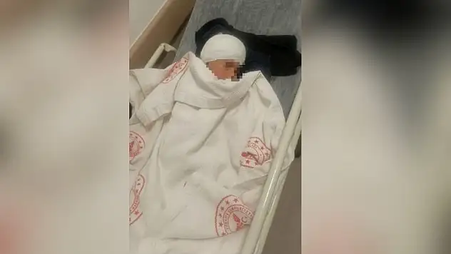 Saldırgan köpeğin sahibi ortaya çıktı