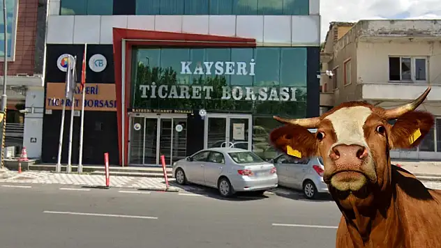 Salgının ardından besicilere eğitim