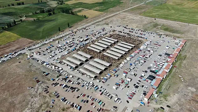 Kayseri'nin komşusunda Şap Hastalığı arttı: Hayvan pazarları kapatıldı!