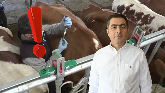 Şap hastalığı kırmızı eti vurdu: Üreticiye 4 milyar dolarlık darbe!