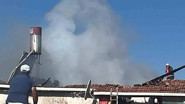 Yozgat Saraykent'te yangın: Elektrik kontağı ahırı yaktı