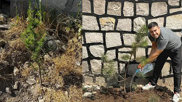 Serhat Hasbenlioğlu'ndan anlamlı bir hediye daha: 10 fidan daha dikti