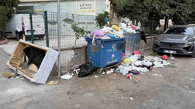 Seyhan'da çöp birikintileri çevreyi rahatsız ediyor!
