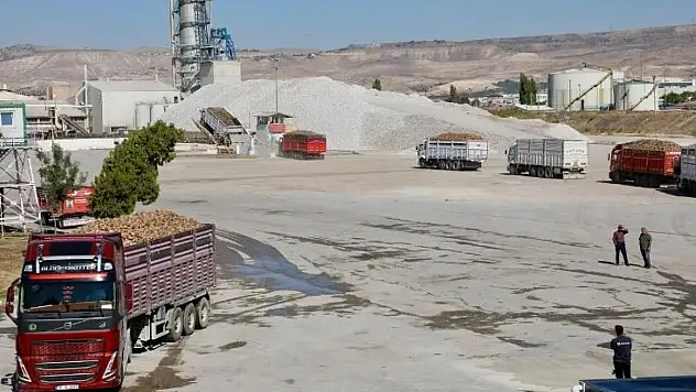 Sezonun ilk pancarları fabrikaya girdi: Kayseri Şeker'de hasat coşkusu