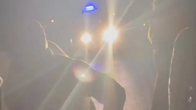 Düğün dönüşü kaza: 15 yaralı