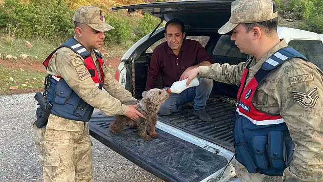 Yavru Ayıya Süt, Yaralı Şahine Şefkat...