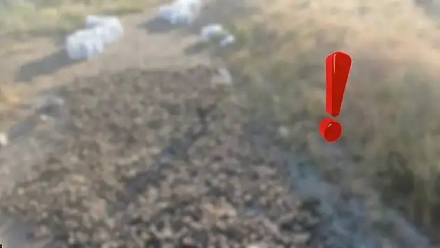 Sivas'ın sırrı güneşe serildi – Dünyaca ünlü geleneğin ilk adımı atıldı