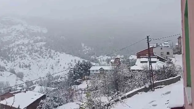 Sivas'ın yüksek kesimleri kara teslim oldu