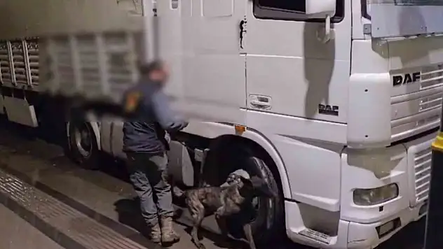 Sivas'ta 12 kilo uyuşturucu ele geçirildi!