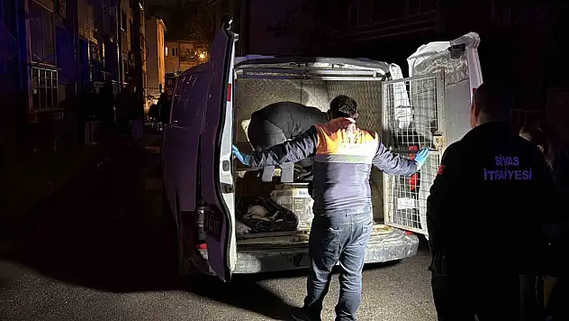 Evde çıkan yangında 26 kedi telef oldu