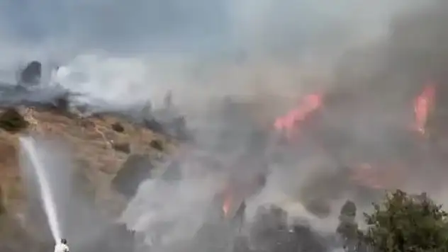 Sivas Hafik'te ağaçlık alanda yangın!