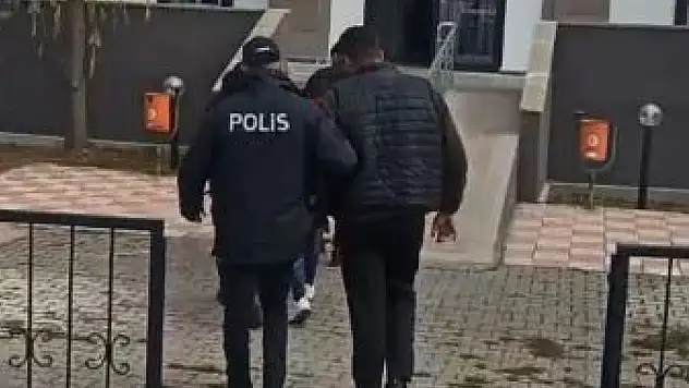 Sivas'ta 3 kez kangal köpeği çaldılar, Kayseri'de yakalandılar!