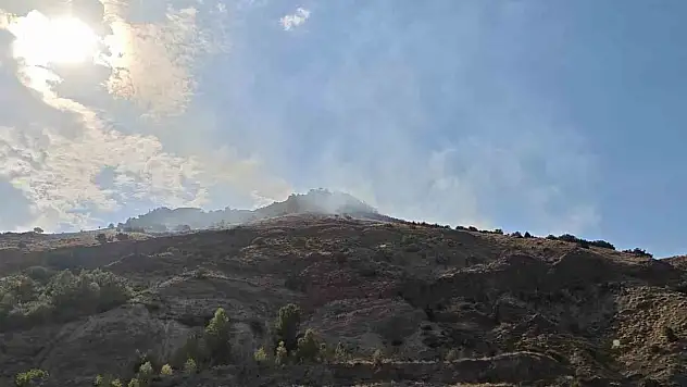 Sivas'ta orman yangını