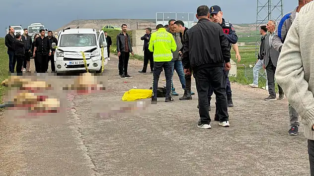 Sivas'ta feci olay: Çoban öldü, 9 koyun telef oldu!