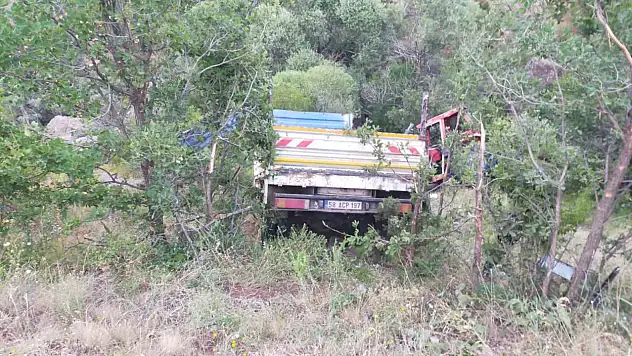 Sivas'ta kamyonet şarampole uçtu!