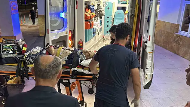 Bitlis eski Valisi Erol Karaömeroğlu hayatını kaybetti