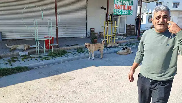 Adana'da şikayetler bitmiyor!