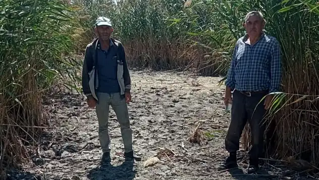 Sultan Sazlığı alarm veriyor!