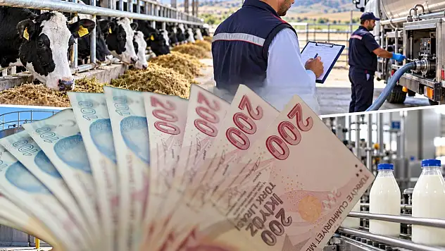 Süt üreticilerine yeni destek kapısı! Bakanlık şartları değiştirdi