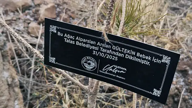 Talas Belediyesi'nden anlamı çalışma: Her bir bebek için bir fidan!