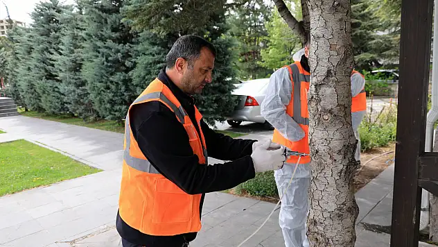 Talas Belediyesi'nden 'arborjet' sistemi