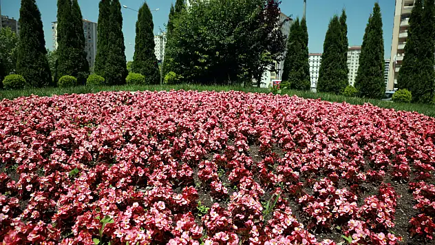 Talas görkemli festivale hazırlanıyor!