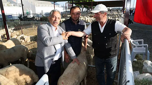 Talas kurban kesim yeri nerede?