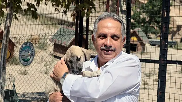 Talas'ta 500 hayvan kapasiteli patievi büyük takdir topluyor