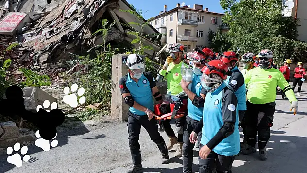 Talas'ta deprem tatbikatı tamamlandı: Patili dostlar unutulmadı!