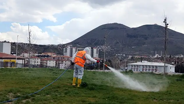 Talas'ta sivrisinek ve haşereye geçit yok!