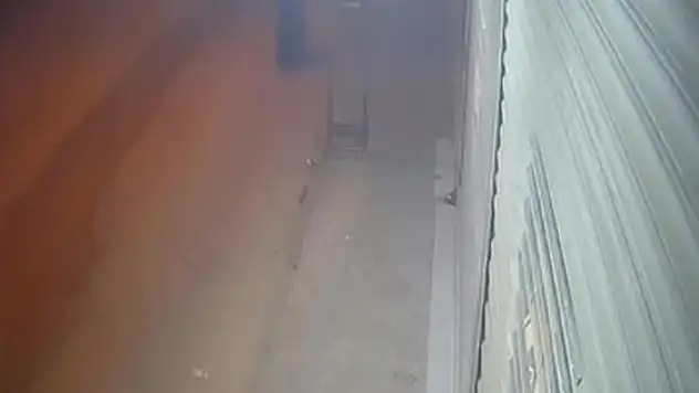 Kadın kılığına girip silahlı saldırı düzenledi