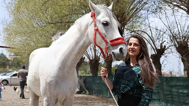 Tarih dizilerinden gördüler biniciliğe merak duydular!