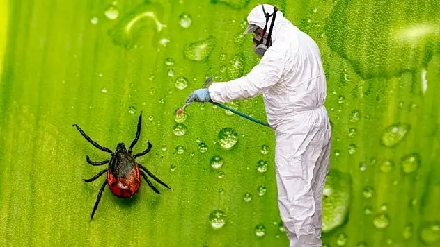 Tarım ilaçları keneyi öldürür mü, ne kadar korur? Kayserili uzman etkisini ve gerçekleri açıkladı!