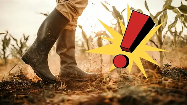 Tarımda çalışanlar dikkat: Bu 3 şartı taşımayan destekten yararlanamıyor