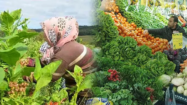 Tarlada 5 evde 25 – İşte ürünlerin fiyat farkı!