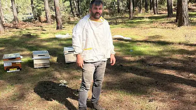 Tecrübeli arıcıdan bal tavsiyeleri: