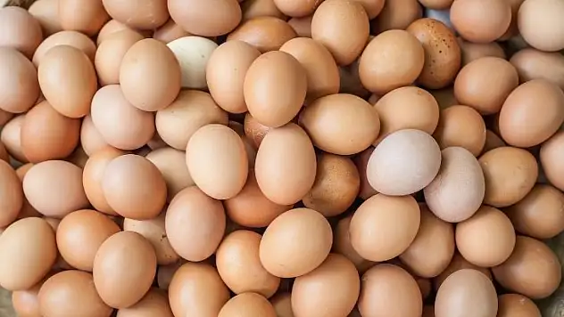 Ticaret Bakanlığı'ndan yumurta ihracatında yeni dönem