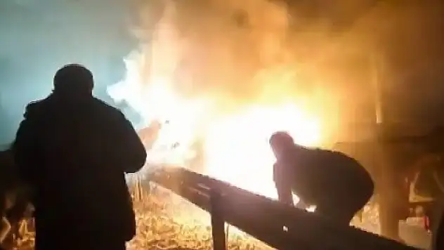 Tırda yangın çıktı! Söndürmek için ellerini kullandılar
