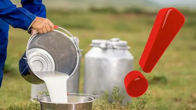 TÜİK'ten dikkat çeken rapor: Toplanan sütte sert gerileme!