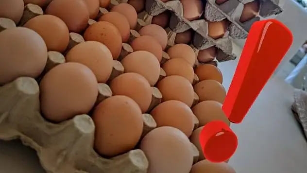 TÜİK verileri şaşırttı: Yumurta krizi kapıda mı?